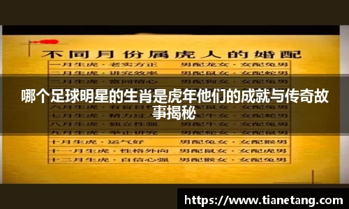 哪个足球明星的生肖是虎年他们的成就与传奇故事揭秘